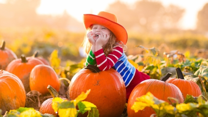 Five places to embrace autumn activities – San Joaquin Magazine